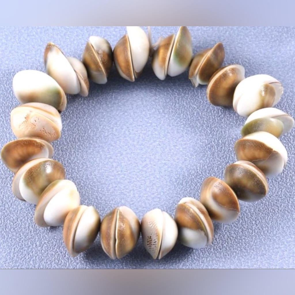 Operculum Cat Eye Spiral Sea Snail Small Circular Seashell Clam Adjust Bracelet
